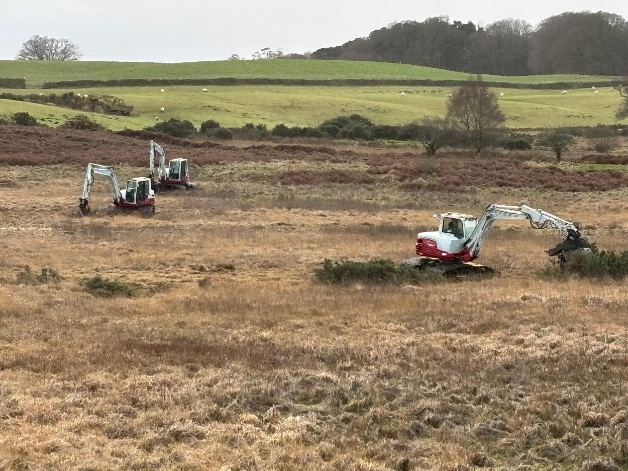 Community Net Carbon Zero Projects in Brampton