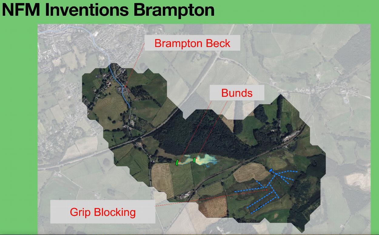 Community Net Carbon Zero Projects in Brampton